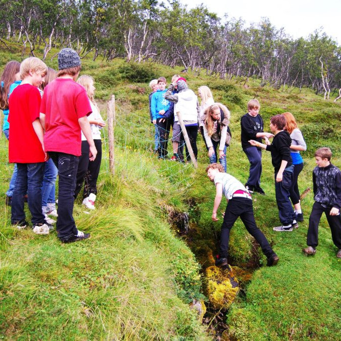 6d14cf181f5f8b9be0e468f67e010ddb