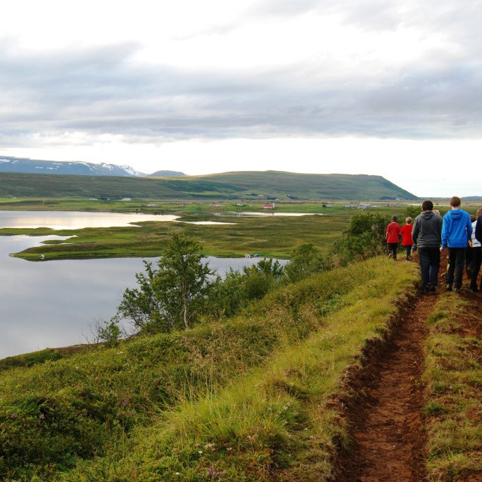 42339d5d829ffed3999df7fb8acea736