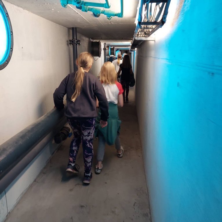 287541292_463594795630521_4700855501740587307_n