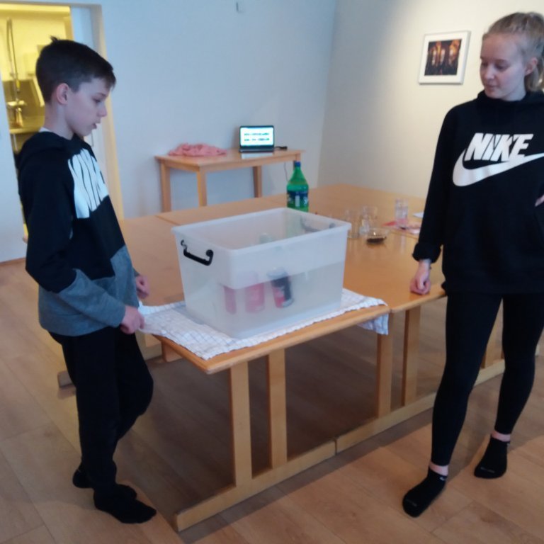 tilraunir hjá Darra og Stellu