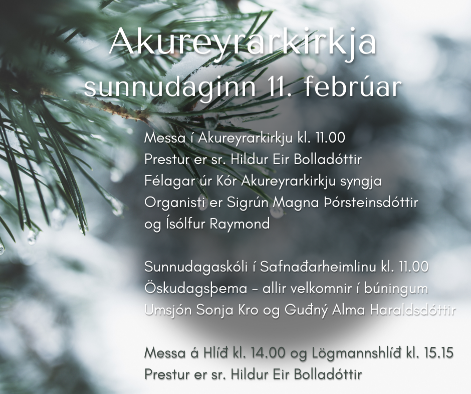 Sunnudagurinn 11. febrúar