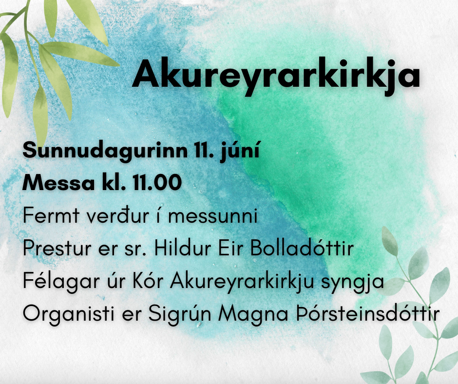 Sunnudagurinn 11. júní