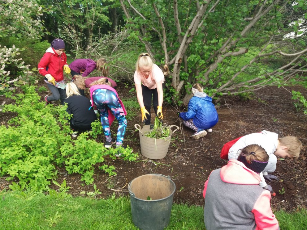 Góðverkavika TTT krakka lokið!