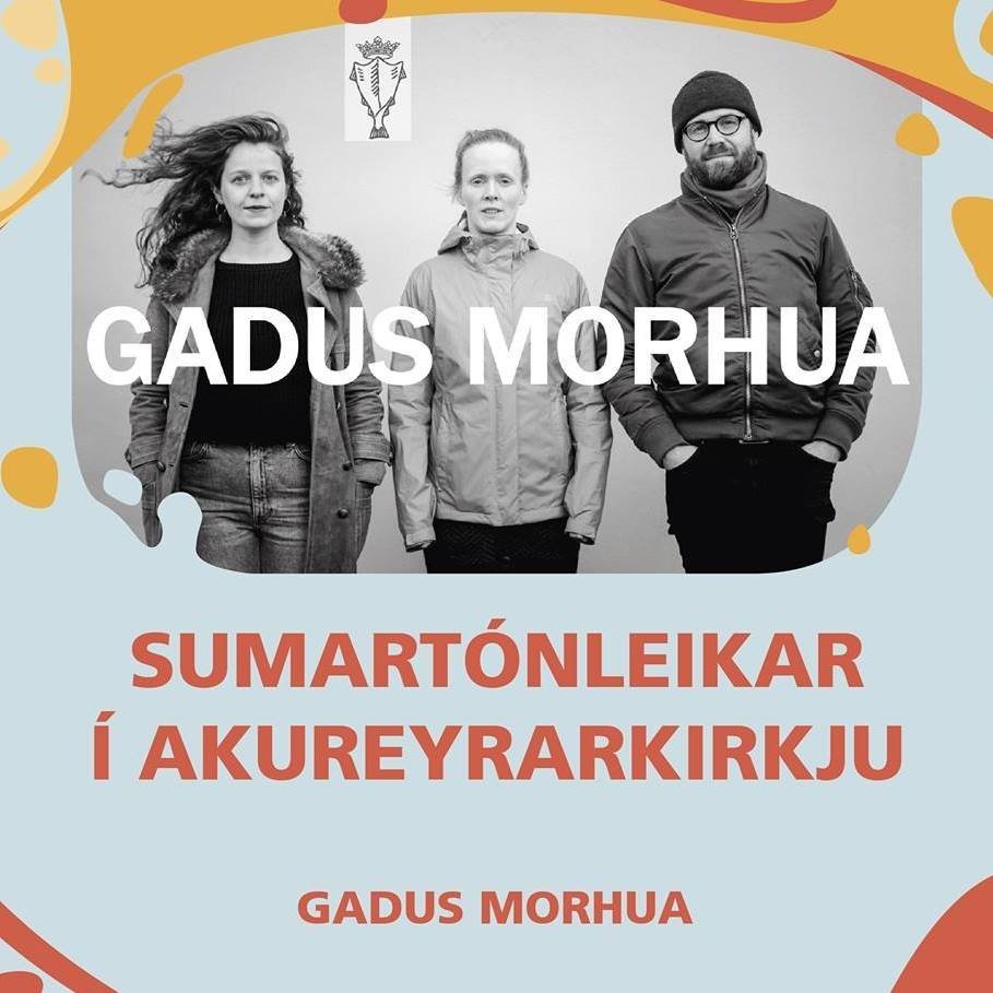 Sunnudagurinn 11. júlí í Akureyrarkirkju