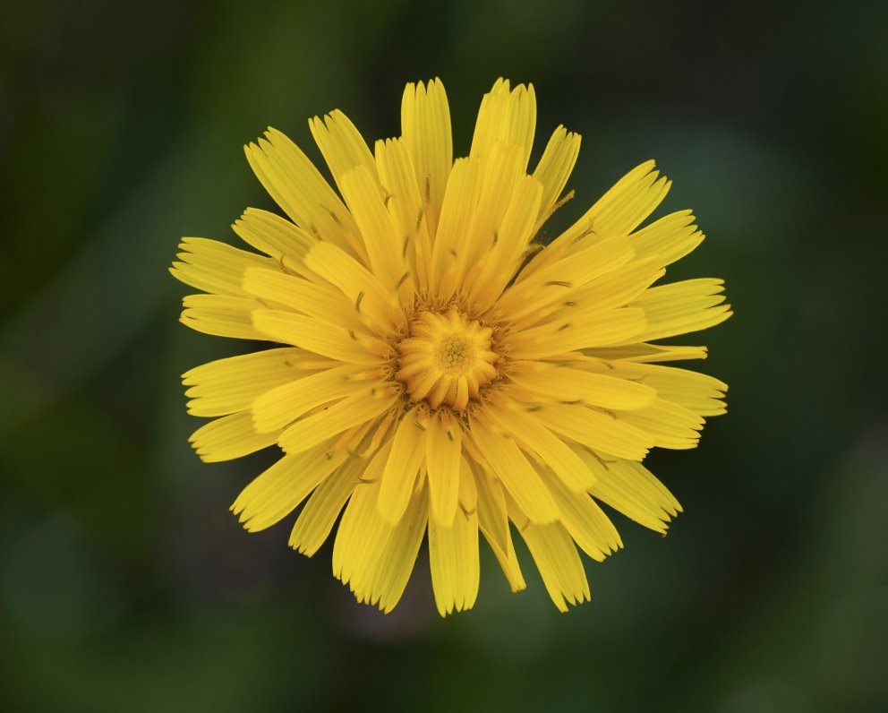 Helgihald um bænadaga og páska í Akureyrarkirkju 2021