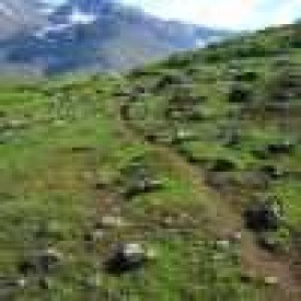 Kirkjan þarf að vita hvað hún vill