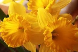 Páskar í Akureyrarkirkju 2013