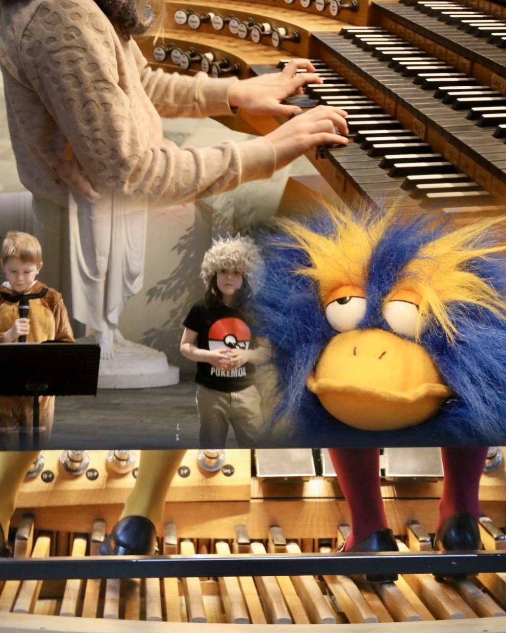 Orgelkrakkaævintýri í Akureyrarkirkju