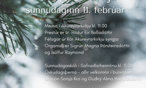 Sunnudagurinn 11. febrúar