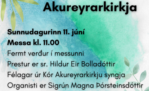 Sunnudagurinn 11. júní