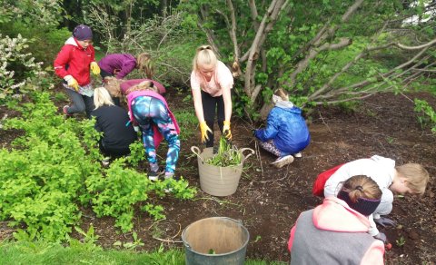 Góðverkavika TTT krakka lokið!