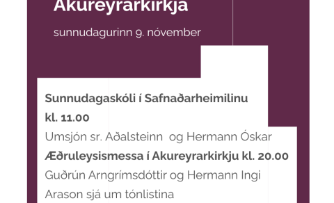 Sunnudagurinn 9. nóvember