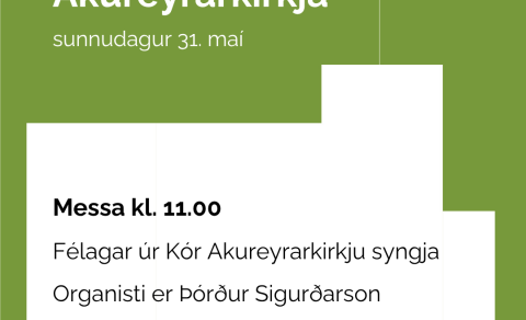 Sunnudagurinn 31. maí