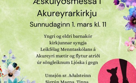 Sunnudagurinn 1. mars
