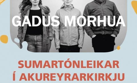 Sunnudagurinn 11. júlí í Akureyrarkirkju