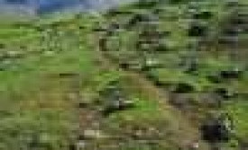 Kirkjan þarf að vita hvað hún vill