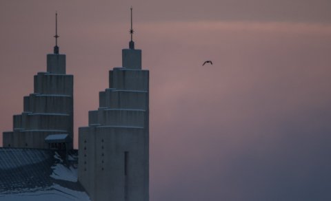 Mynd: Eyþór Ingi Jónsson
