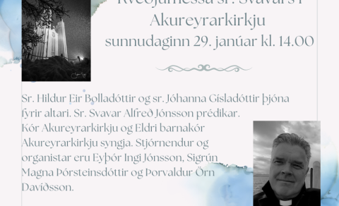 Sunnudagurinn 29. janúar