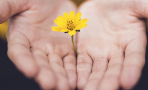 Opið hús hjá Samhygð - Fræðsluerindi og kynning á sorgarhópastarfi Samhygðar